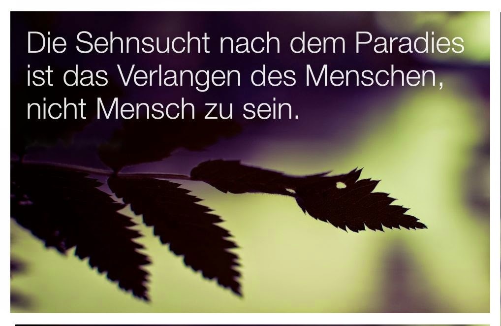 Opened Book White · Free vector graphic on Pixabay