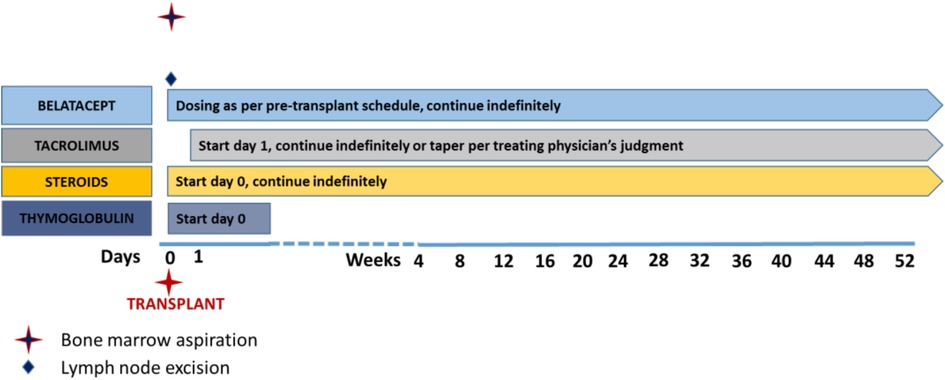 Frontiers | Translation of therapeutic strategies to modulate B cell ... Frontiers | Translation of therapeutic strategies to modulate B cell ...