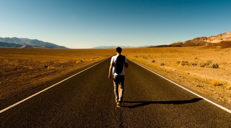 Images Gratuites : antenne, repas, aliments, Fruit de mer, Frais ...